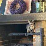 Dolánek Homestay szállás Jankov