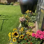 Dolánek Homestay szállás *