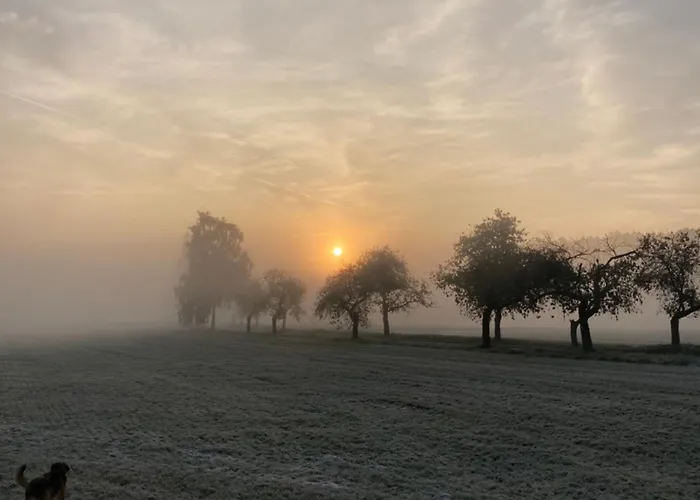 בית אירוח Dolanek
