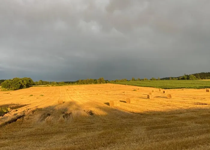 Dolanek * Jankov (South Bohemian)