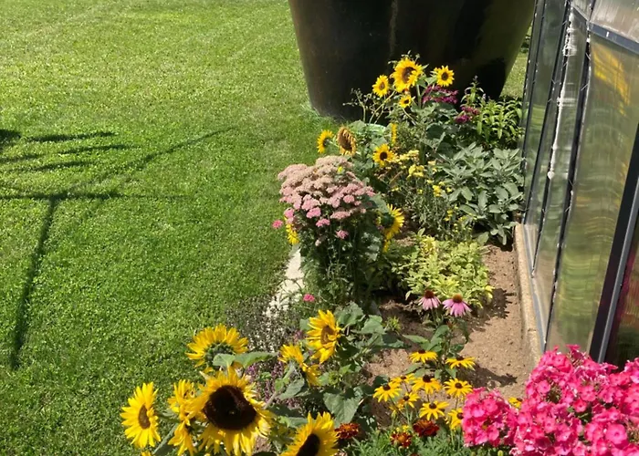 Dolanek בית אירוח *